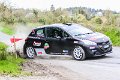 COI_pre-testing_2014 (37)